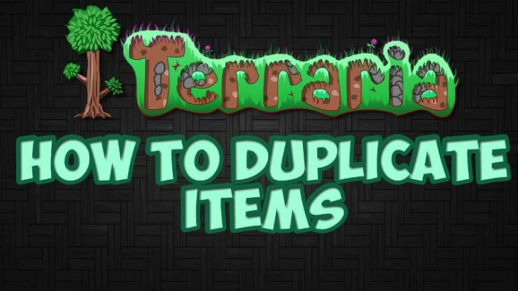 Terraria Duplicate Items