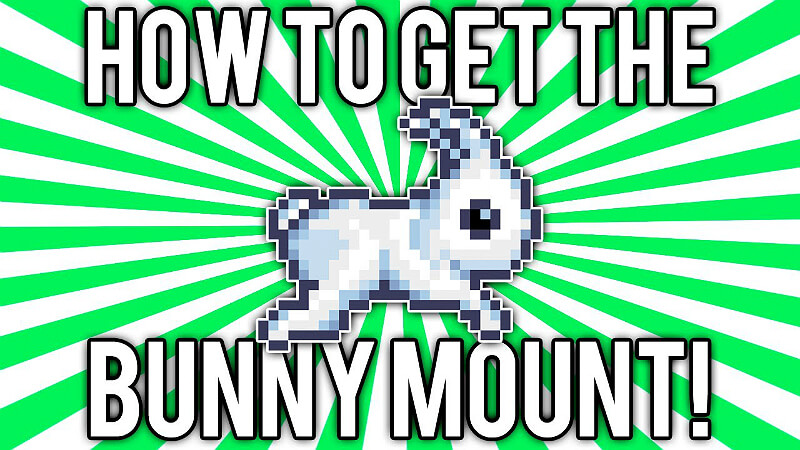 Bunny Mount