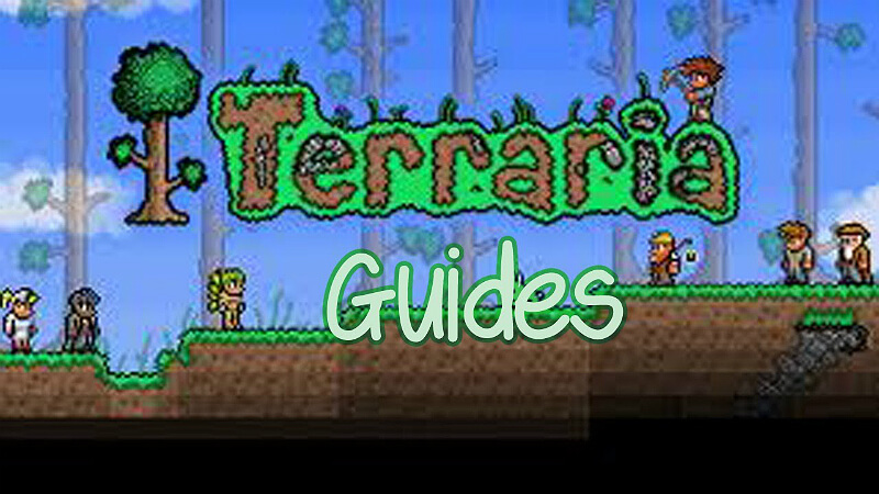 terraria guide 2020