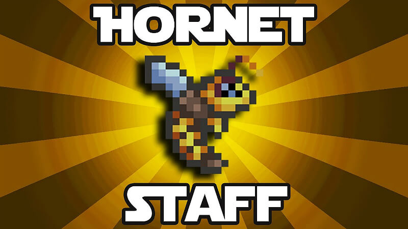Hornet Staff