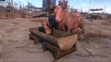 Fallout 4: Brahmin - The Benefits of it in the Settlement? | GamesCrack.org